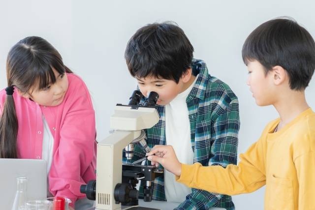 公立小学校の選び方